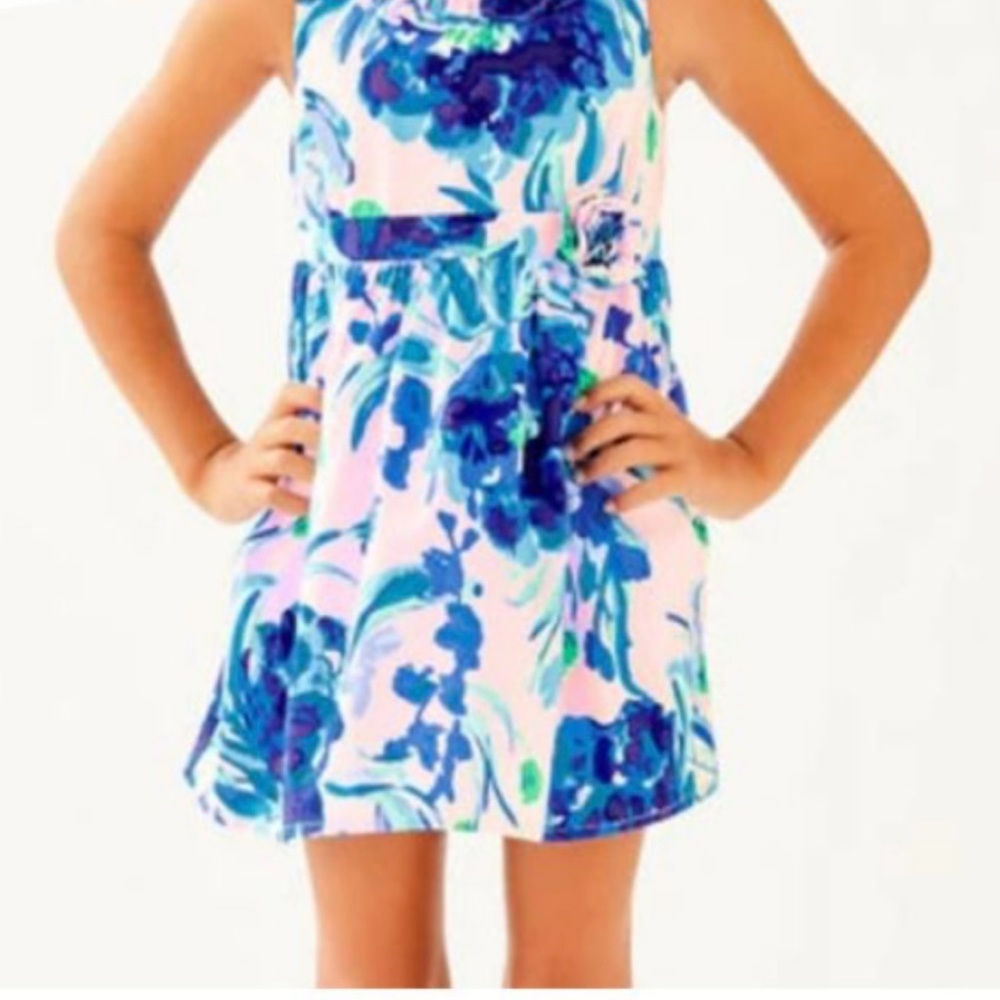 Pink and Blue A-Line Lilly Pulitzer dress